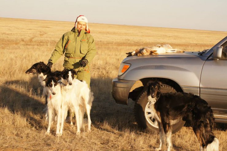 Hunting in the Volga steppes, November 2014